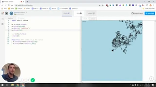 Random Turtle Example