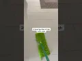 5 daily cleaning tasks non negotiable