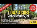 1 047 Acres For Sale in Alturas CA Beautiful Property Power Nearby Seller Financing