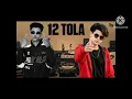12 TOLA  @aadduz17  (OFFICIAL VIDEO SONG) HASSAN ZEHEN