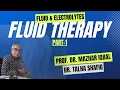 How to do Fluid Therapy in Dogs Cats Part-1 Fluid and Electrolytes