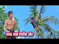 Download Lagu Đứng tim!! Vua Khỉ cưa hạ gốc cây Dừa 70 năm tuổi ở quê nhà.