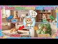 Prepositions in English