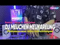 Download Lagu DJ  MEUCHEN MEUKAREUNG - RAMLAN YAHYA FT AMI RAHMI JUNGLE DUTCH TERBARU 2024