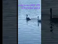 Lagu a day in my LAKE LIFE in November part 2! #lake #lakeliving #lakelife #newenglandliving