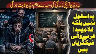 Education System Has Failed | The Dark Truth They Never Told You