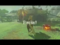 Beating Blynne s Horseback Obstacle Course Mini Game - The Legend of Zelda Breath of the Wild