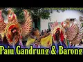 Lagu Paju Gandrung \u0026 Barong prejeng jaranan titisan kesatria Blambangan live plembangrejo