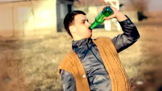 dani printul banatului nu mai beau oficial video 2012 