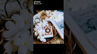 قرآن كريم الشيخ فارس عباد سوره الفلق 