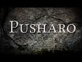 Pusharo mysterious ancient symbols of the Amazon