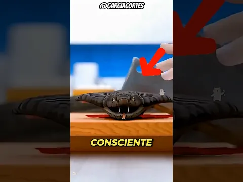 3 CRIATURAS que SOBREVIVEN a la MUERTE 🐍#datoscuriosos #wild #naturaleza#curiosidades
