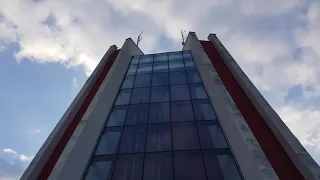 Кой уши байряка Клуб Веселяци гр Плевен 03 03 2019г 