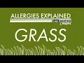 Allergies Explained - Grass