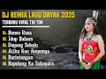 Download Lagu Dj remix lagu dayak terbaru  terpopuler yang lagi viral
