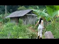 Download Lagu Full Video _120 Days CEO Girl Leaves The City for The Forest To Restore an Abandoned Old House