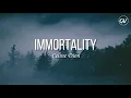 Céline Dion - Immortality [Lyrics] ft. Bee Gees