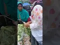 Download Lagu ABANG SAYUR KAMERA JALANAN