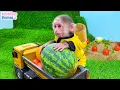 Download Lagu Farmer BiBi obedient take care of her friends