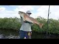 Spearfishing Snapper and Catching Big Redfish in New Port Richey Florida