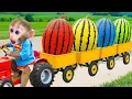 Download Lagu Macaco Bon Bon colhendo melancia com a carroça e faz sorvete de melancia para o patinho fofo