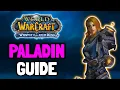 WOTLK Classic Paladin PvE Guide