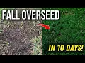 Complete Fall Overseeding Guide Transform Your Lawn in 10 Days