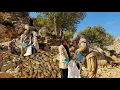 Lagu IRAN momadic life🍂🌳🌰: How to Harvest Acorns for Family and Sheep🏔️ | Nomadic Family Food Products🌰