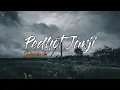Lagu Pedhot janji - damara de (lirik) | cover lyrics | dangdut populer 2021