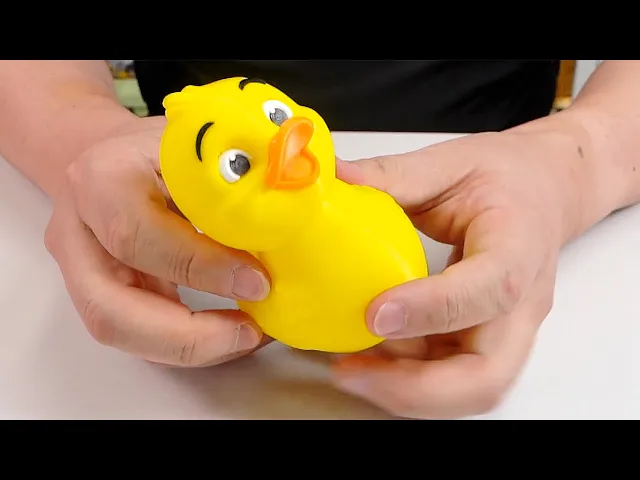 Squeaker_Duck_rubber_toy video thumbnail