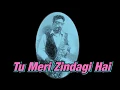 Download Lagu #270:- Tu Meri Zindagi Hai | Ashiqui | Kumar Sanu | Best Bollywood Saxophone Instrumental