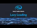 Lazy Loading - Run MicroStream with limited RAM Tutorial German