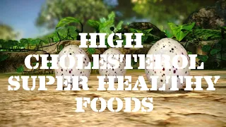 Download High Cholesterol Foods That Are Super Healthy MP3
