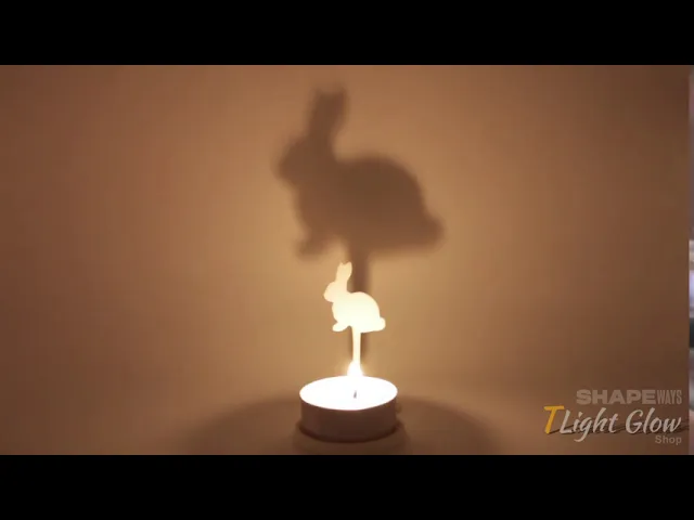 Animal Rabbit video thumbnail