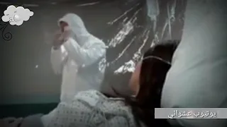 الحب الحقيقي يا أميرتي ياجميلتي ياسيدة كل النساء 