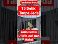 Download Lagu Tembakan Pleci WIT WIT WEK WEK || 15  Detik Tanpa Jeda