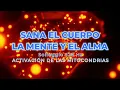 SANA EL CUERPO, LA MENTE Y EL ALMA 🎼 Solfeggio 528 Hz 🧬 ACTIVACIÓN DE LAS MITOCONDRIAS