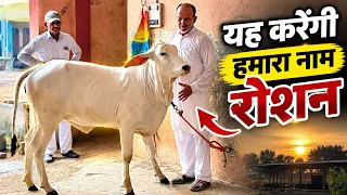 ऐसे निकलते हैं नगीने - ऐसे बच्चों की वजह से ही हमारे भारत का नाम हुआ रोशन - Cheeta HSB