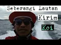 Download Lagu Seberangi Lautan Kirim Koi