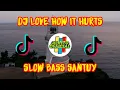 Download Lagu DJ LOVE HOW IT HURTS SLOW REMIX FULL BASS | TIK TOK TERBARU 2021