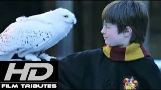 Harry Potter Theme • Harry's Wondrous World • John Williams