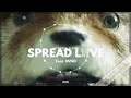 Boston Bun Feat. DVNO - Spread Love (Paddington) (Extended Mix)