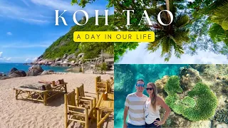 Day in the Life: Living on a 🐠Tropical Island🌴 | Koh Tao, Thailand | Sailing Joco EP74