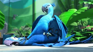 linda saves blue from hunters now both are friends rio movie explained in hindi hindimoviereactor