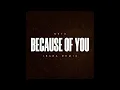Download Lagu Ne-Yo - Because Of You (IBARA REMIX)