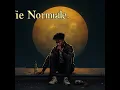 vie normale (Radio Edit)
