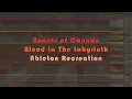 Boards of Canada - Blood In The Labyrinth (Ableton Live Cover/Recreation)