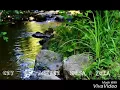 Download Lagu ADAM  CHROLA  -  CZY ZOSTANIESZ MOJĄ ŻONĄ  ❤❤❤🌺🌺🌺