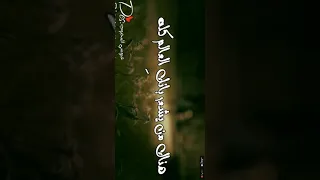 أجمل حالات واتساب عن لام كل عام وانتي بخير يمه 