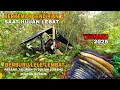 Download Lagu CAMPiNG SENDiRiAN SAAT HUjAN LEBAT‼️  BERBURU LELE LEMBAT PASANG TAJURAN Di LOBANG BUATAN SENDIRI...